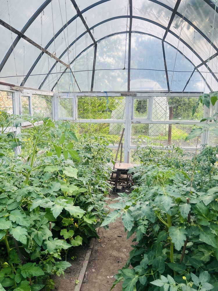 Продається 2 будинки в м.Корсунь-ШевченківськомуЧеркаська обл.