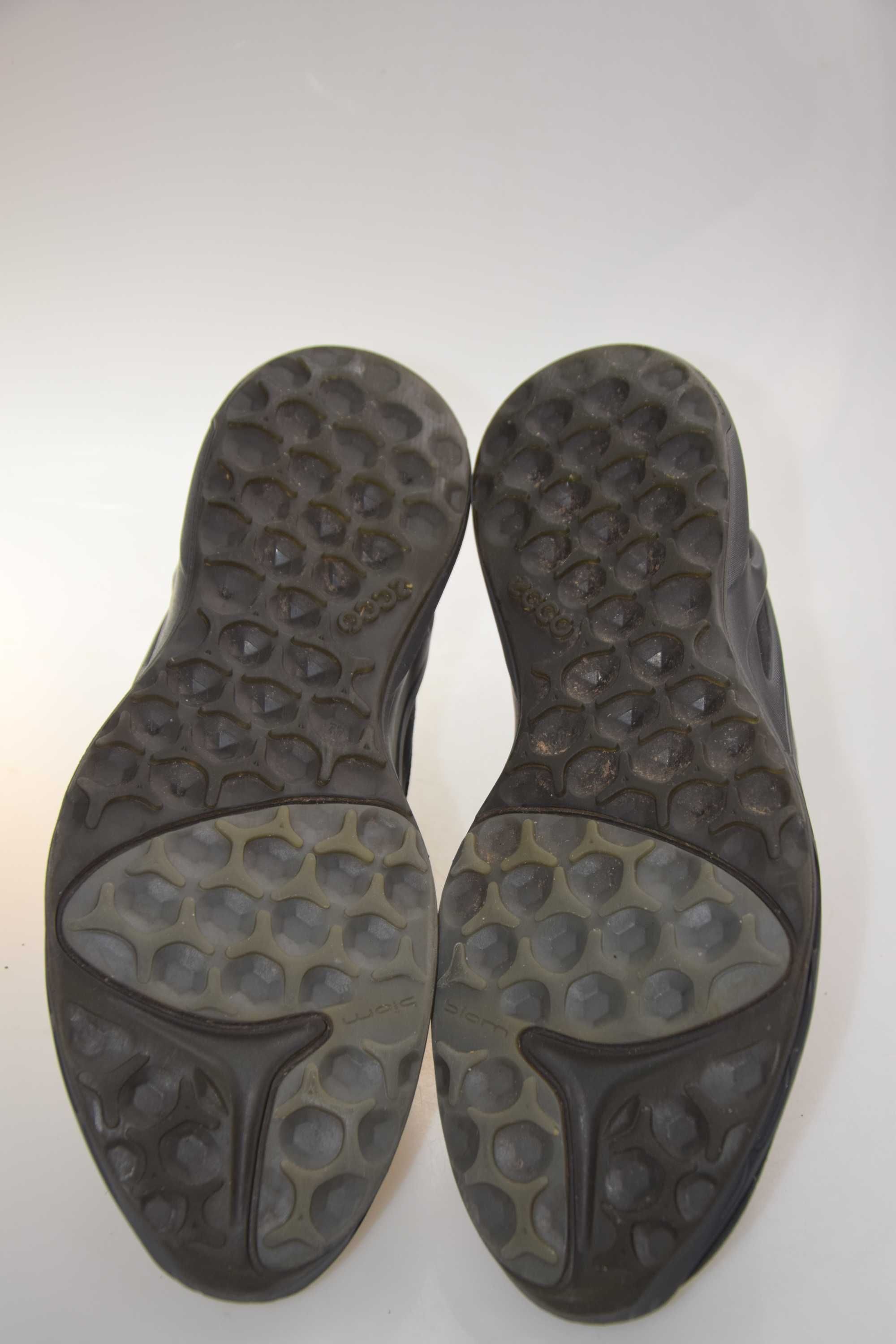 Ecco Biom Omniquest Gtx r.42