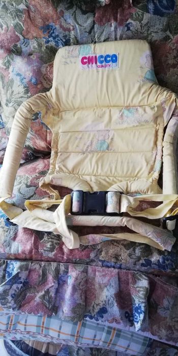 Canguru marca Chico (marcupial)