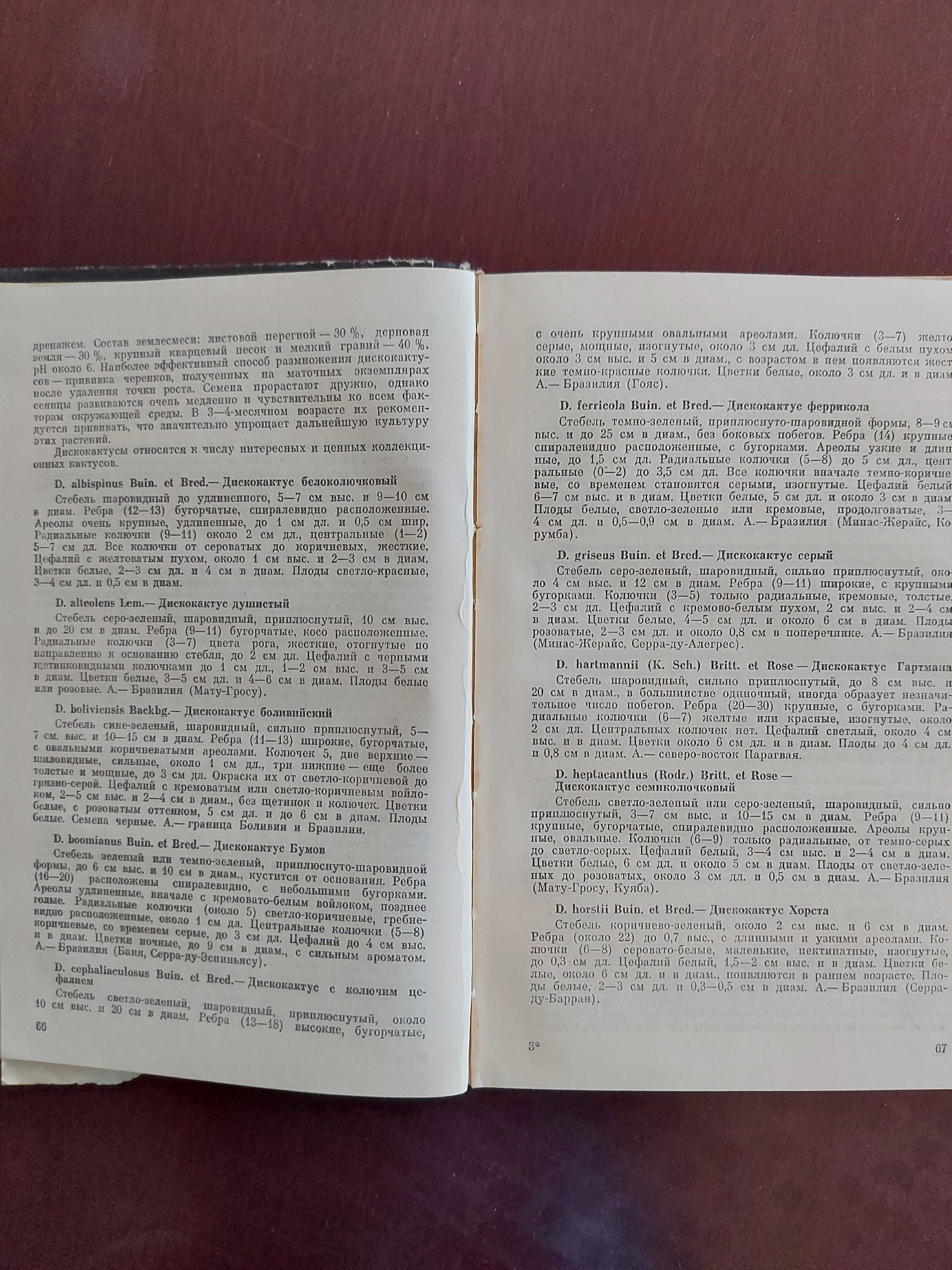 Справочник по кактусам Т.И.Борисенко, Киев, 1984г