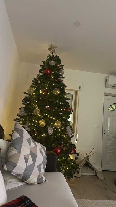 Árvore de Natal do HORTO (Campo Grande) com 2,60m de altura