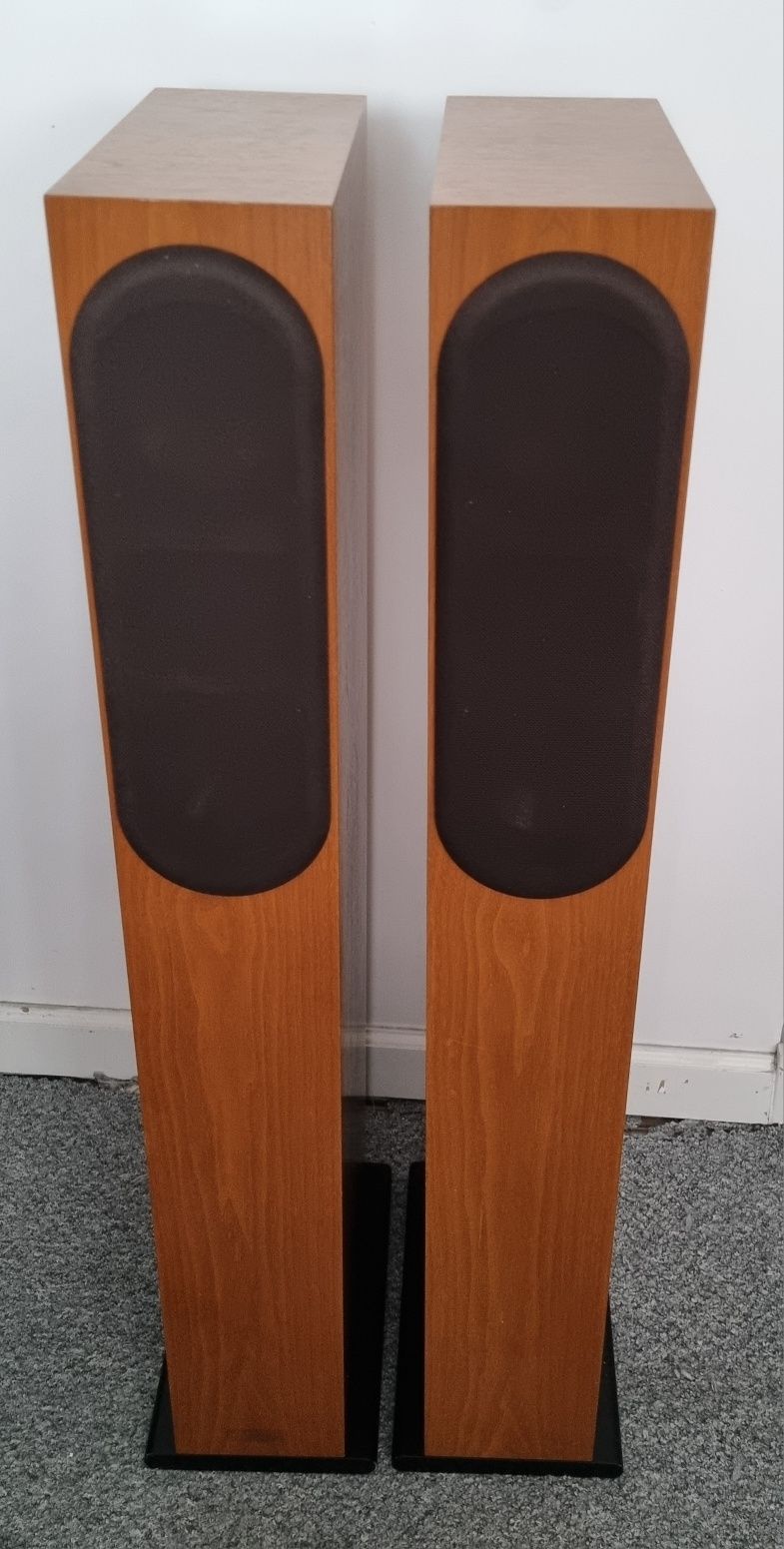 Kolumny podłogowe ASW genius 300