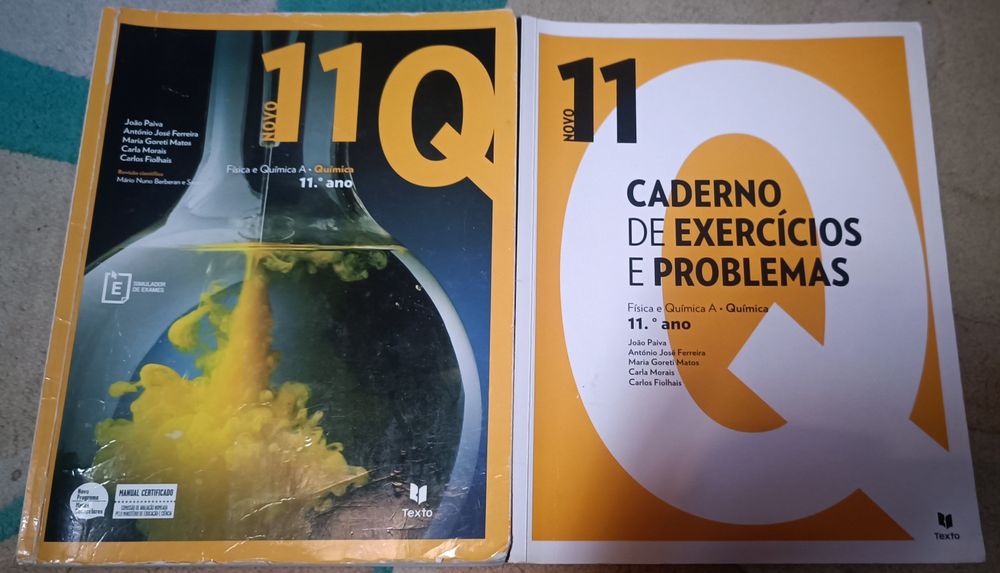 Manual e caderno de atividades de Química 11 ano