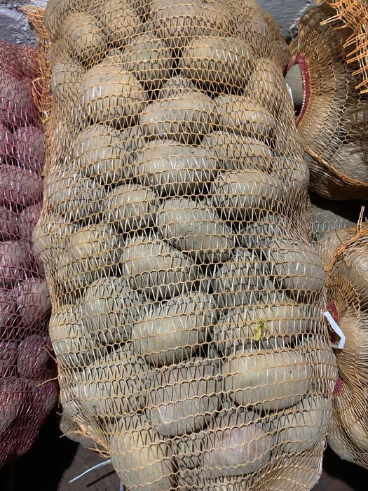 Картопля велика. Домашня