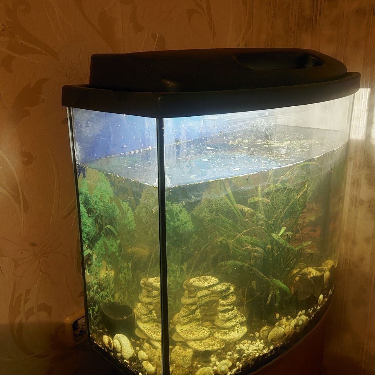 Продам аквариум на 80 литров