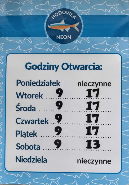 Neon czarny, Neonek
