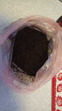 Продам жмых из под кофейный зёрен