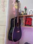 Akustyczna ever Play Perfect sound AP-316