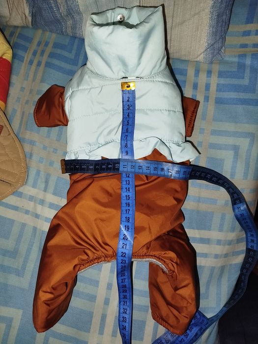 Зимняя одежда для маленьких собакчек