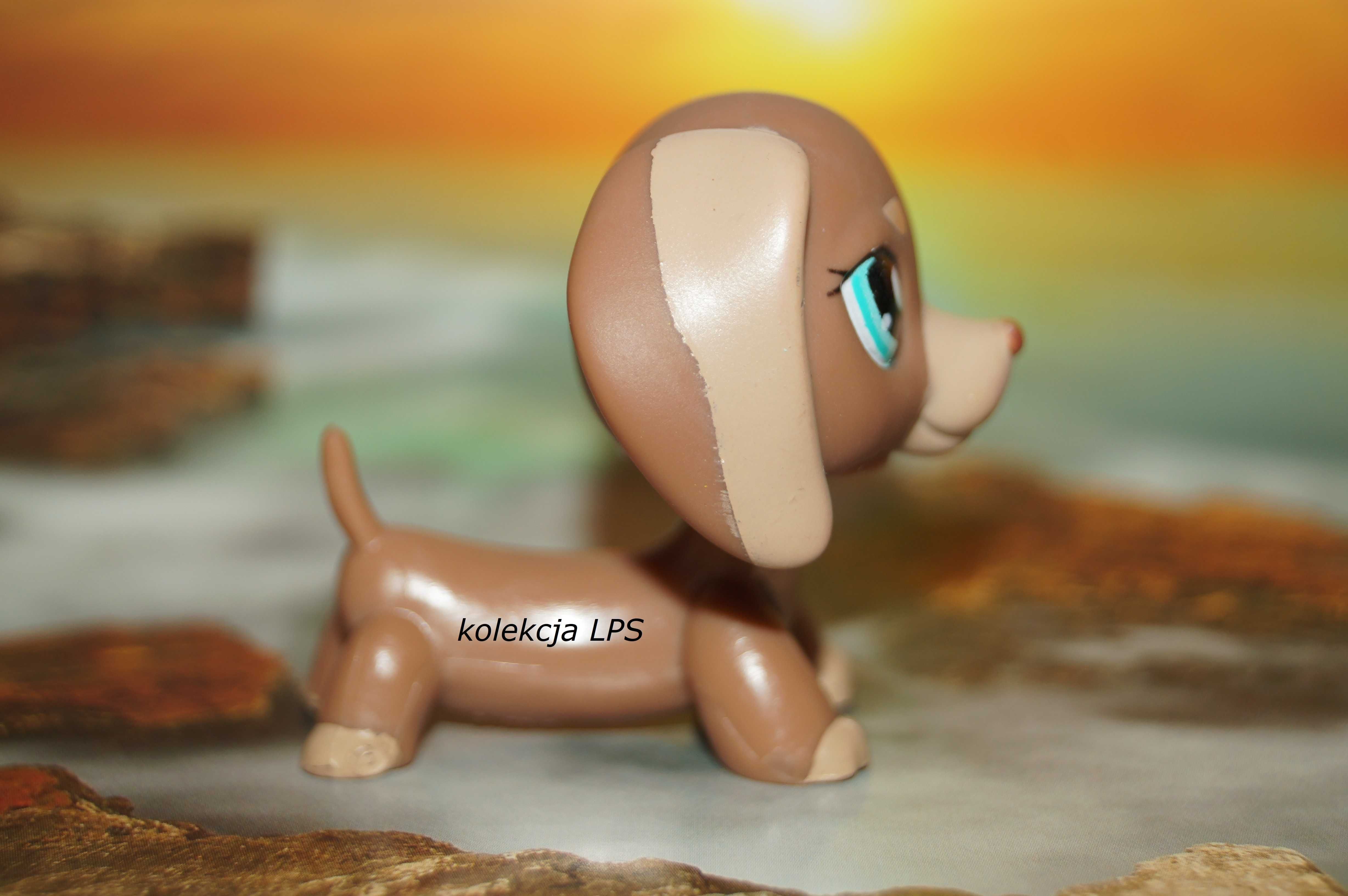 LPS Littlest Pet Shop jamnik #1751 oryginalny pop oryginał kawa
