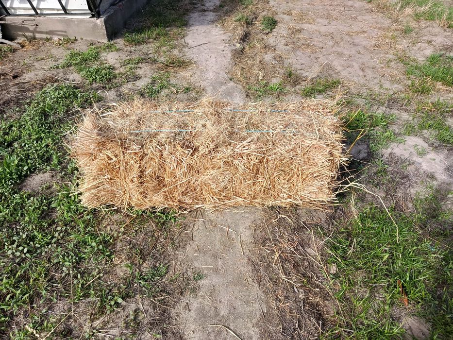 Vendo fardos de palha