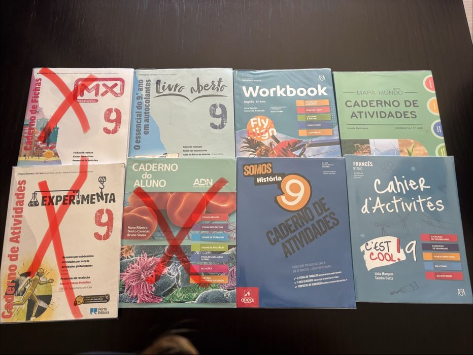 cadernos de atividades do 9 ano