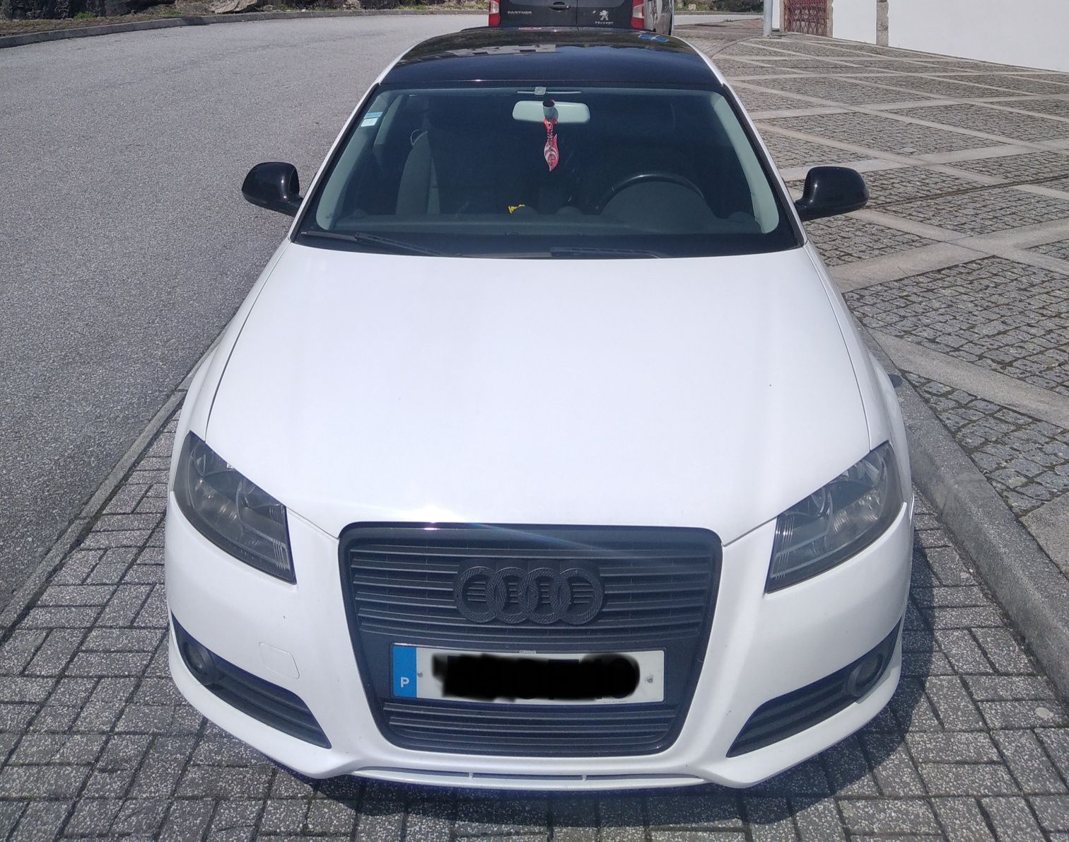 Audi A3 8p 1.6 TDI 105 hp