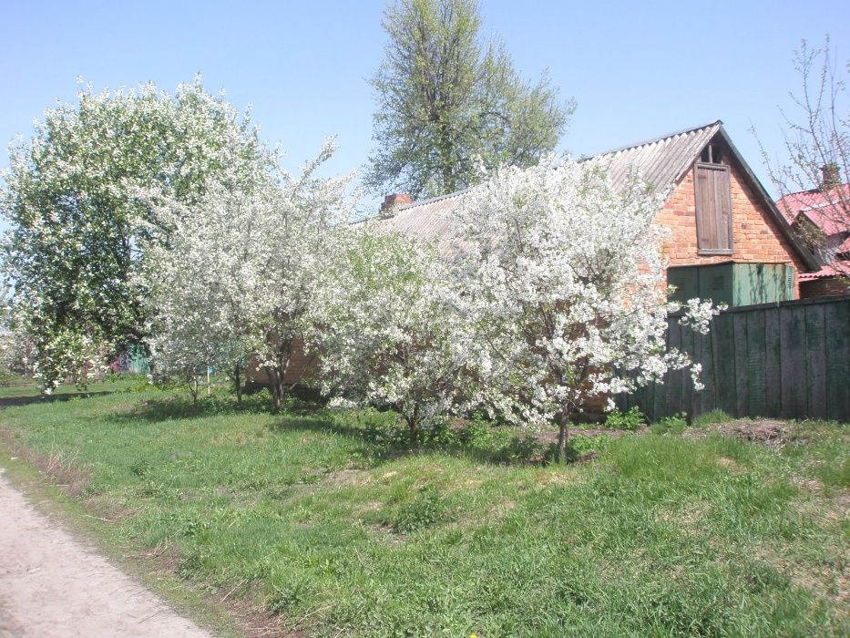 Міняю дом-усадьбу в с.Бурчак на житло в м.Суми