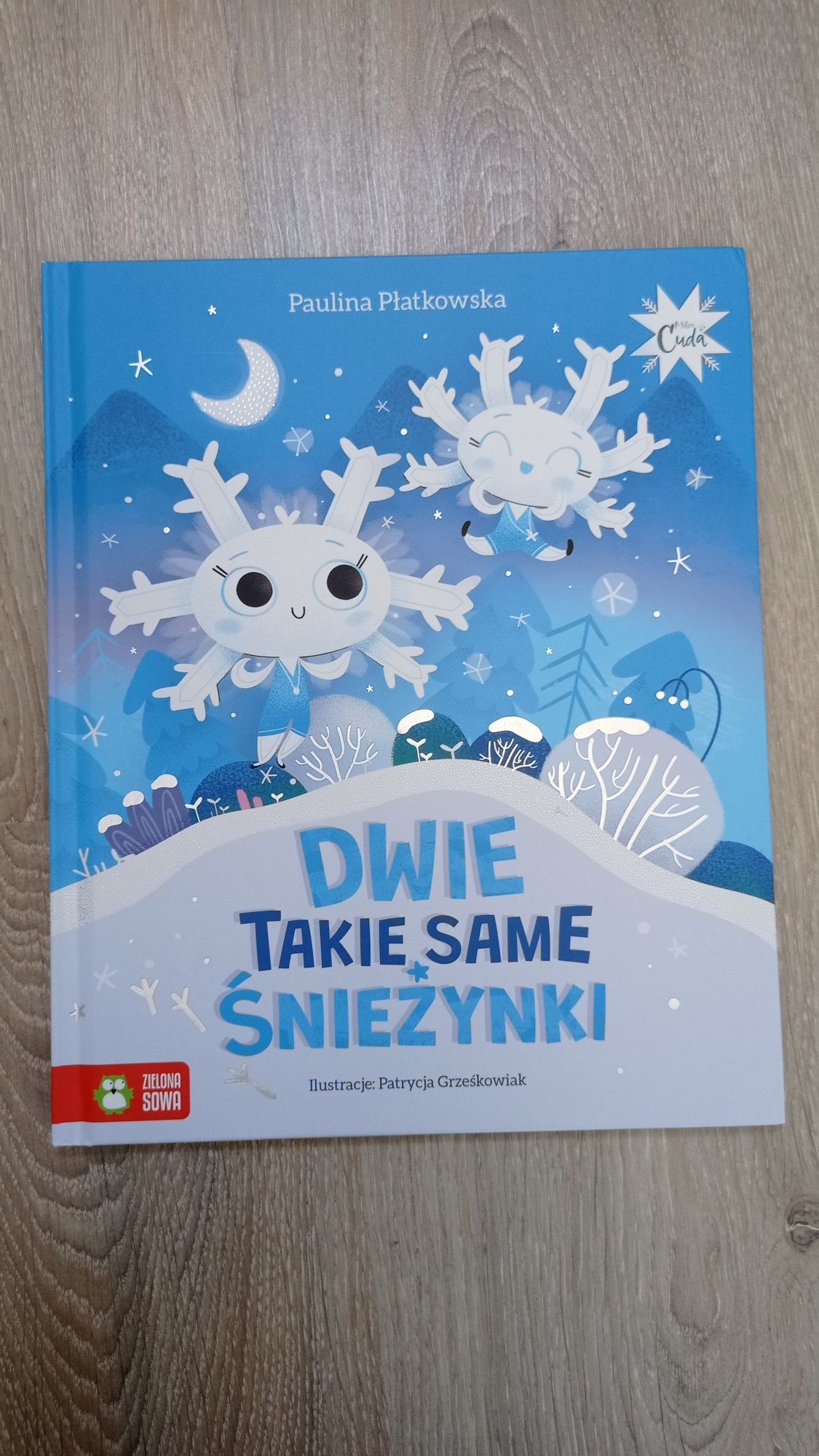 Dwie takie same śnieżynki