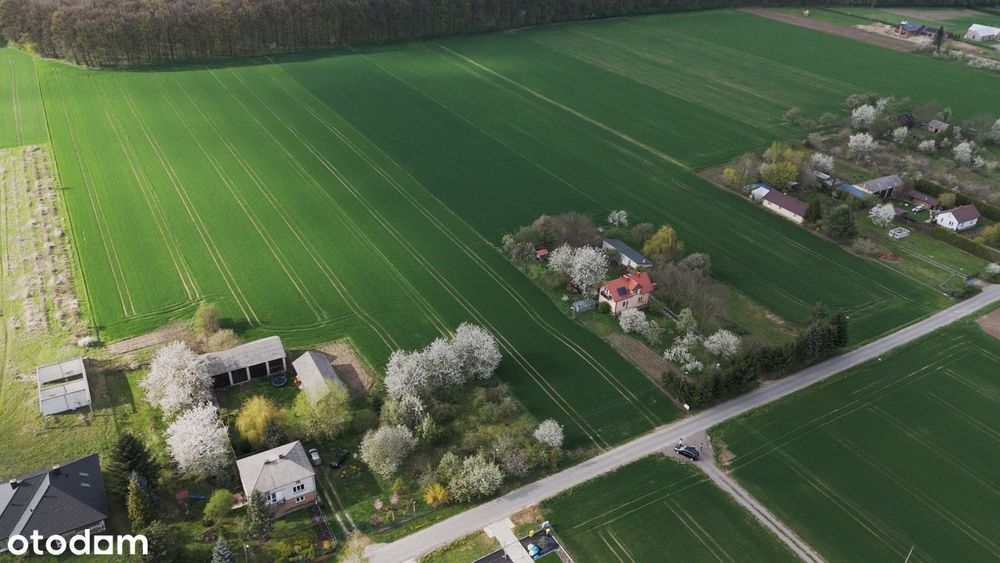 Sprzedam atrakcyjne działki w Radawcu Dużym