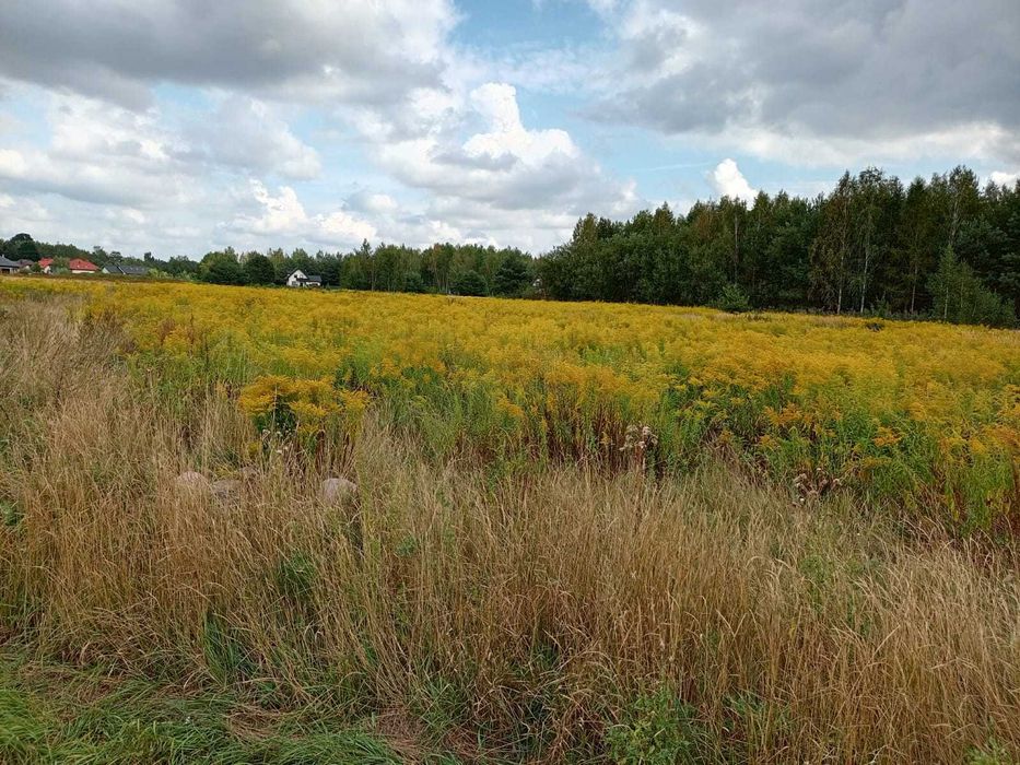 Sprzedam działki budowlane
