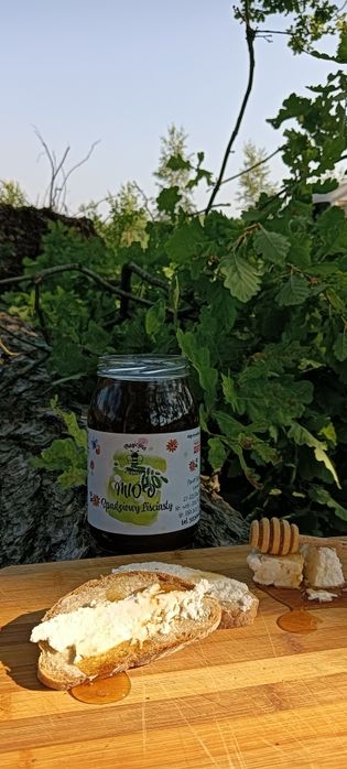 Miód spadziowy liściasty