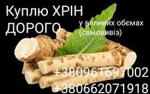 Куплю ХРІН дорого