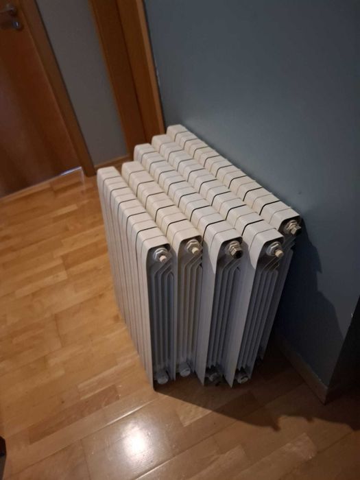 Radiadores de aquecimento central Roca