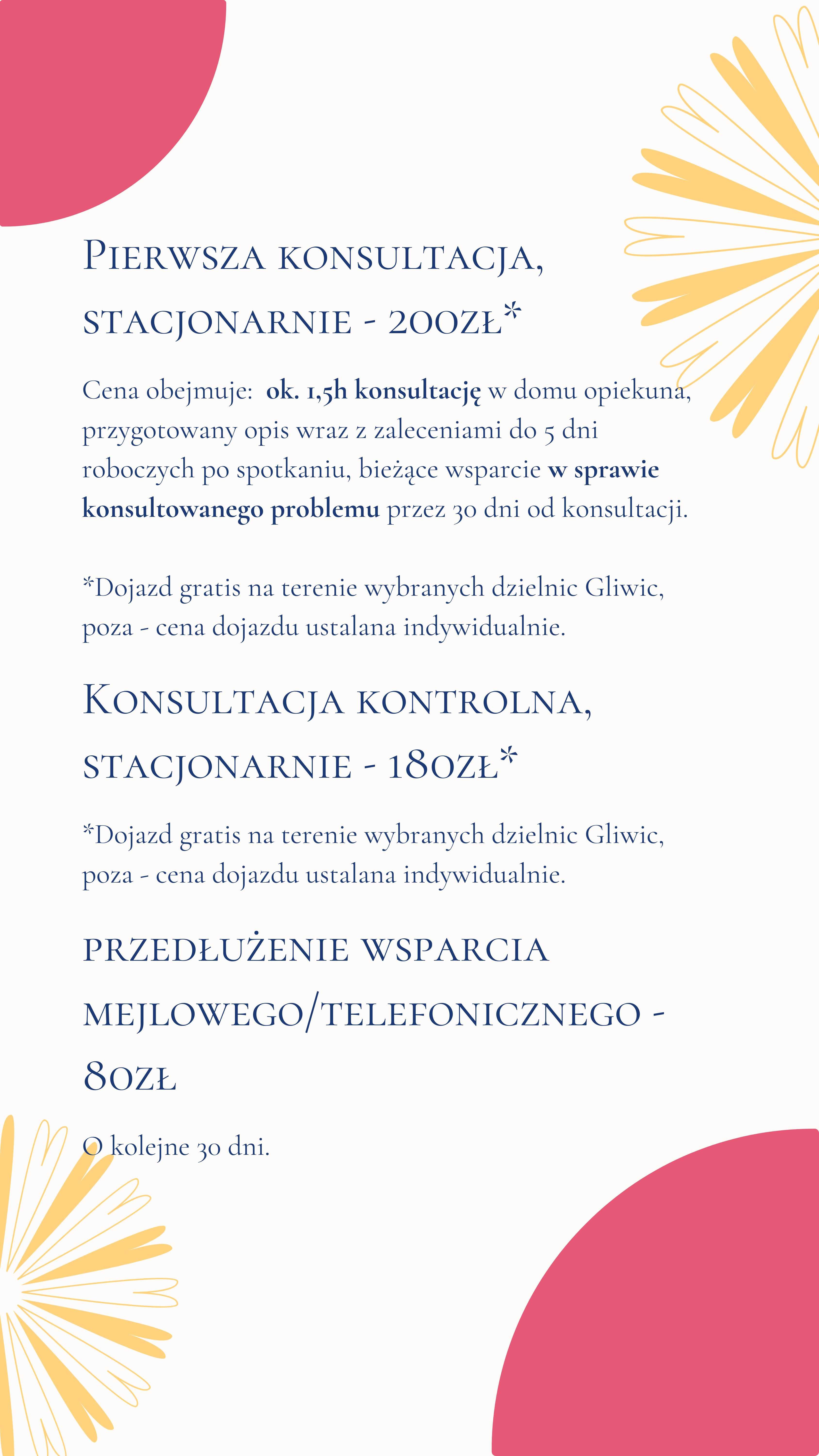 Koci behawiorysta dietetyk behawioryzm kot Gliwice Śląsk Online