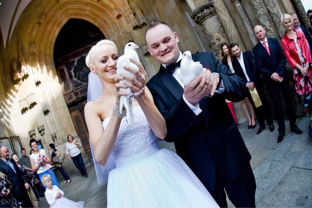 Białe gołębie ślub