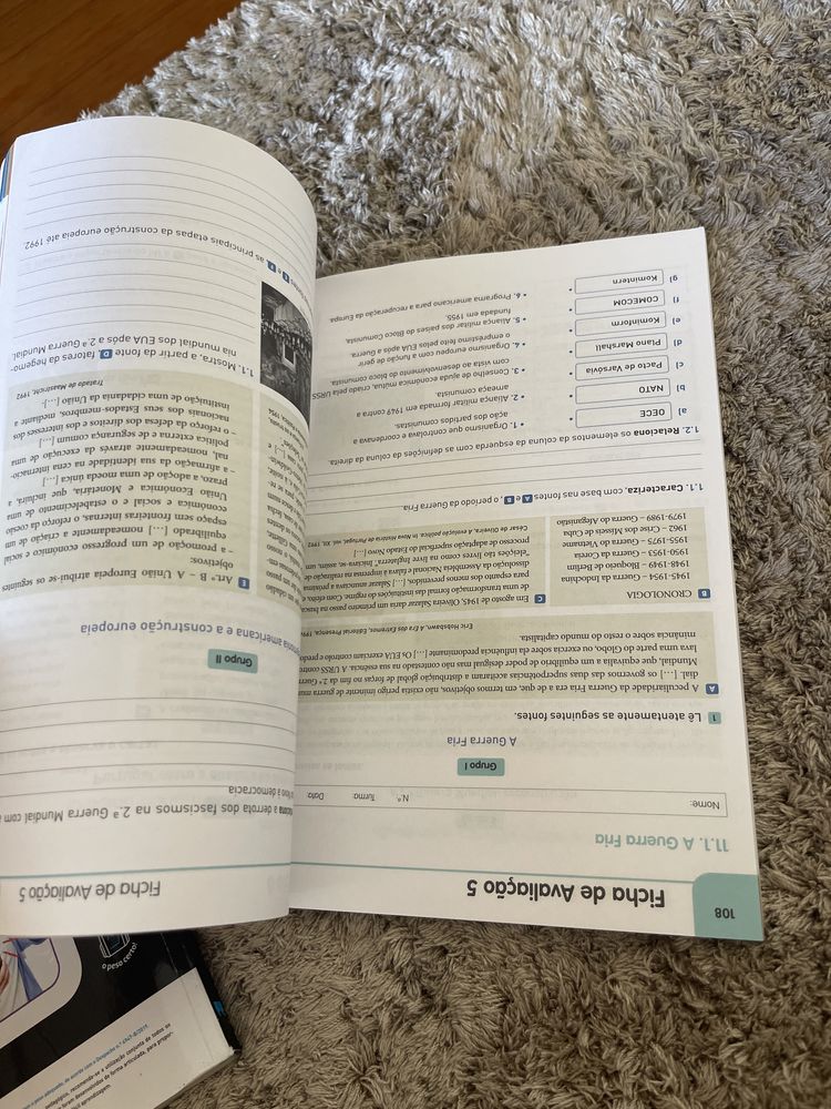 Maual e caderno de atividades Viva à Historia 9
