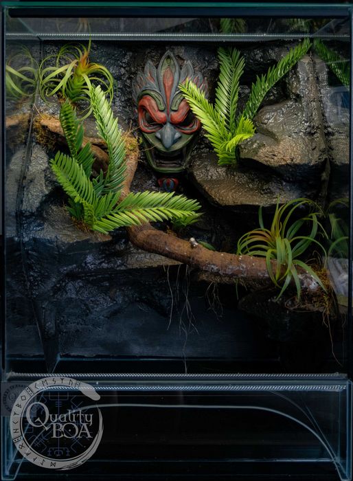 Terrarium 50x45x70 dla jaszczurki