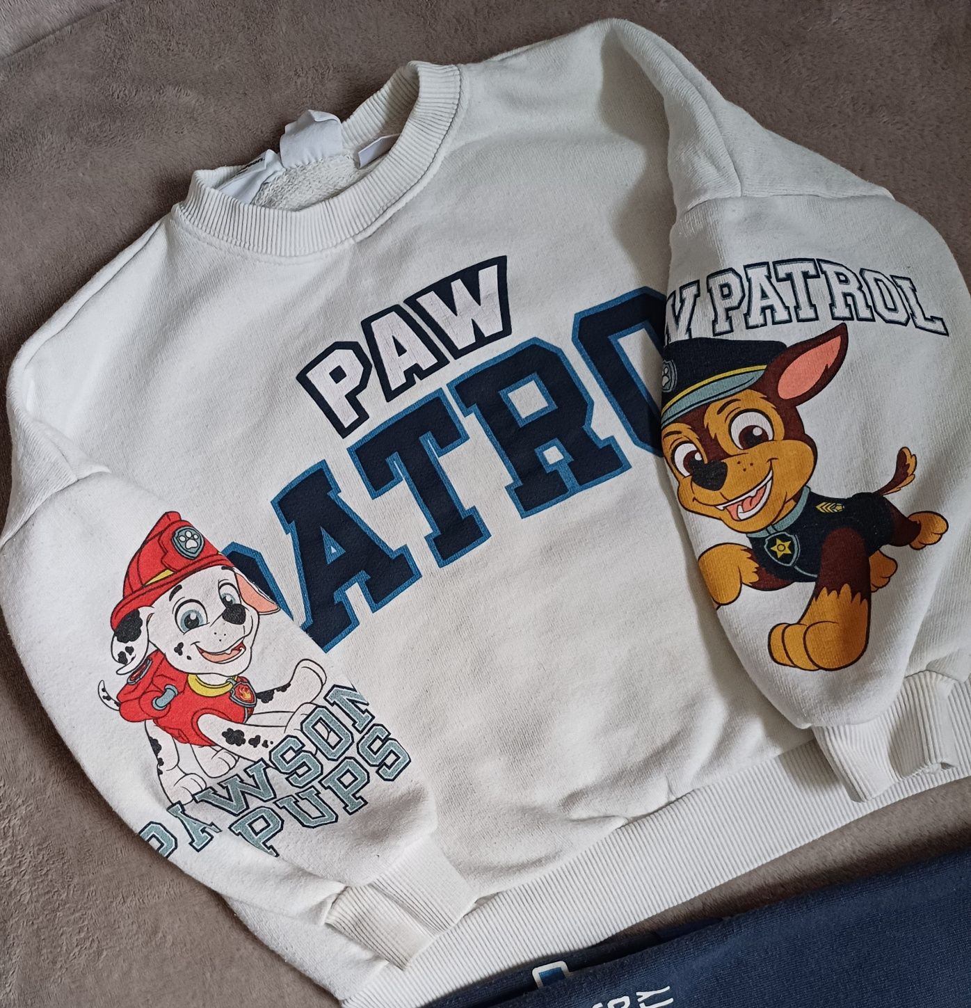 Bluza psi patrol Zara 116 bluza paw patrol Zara