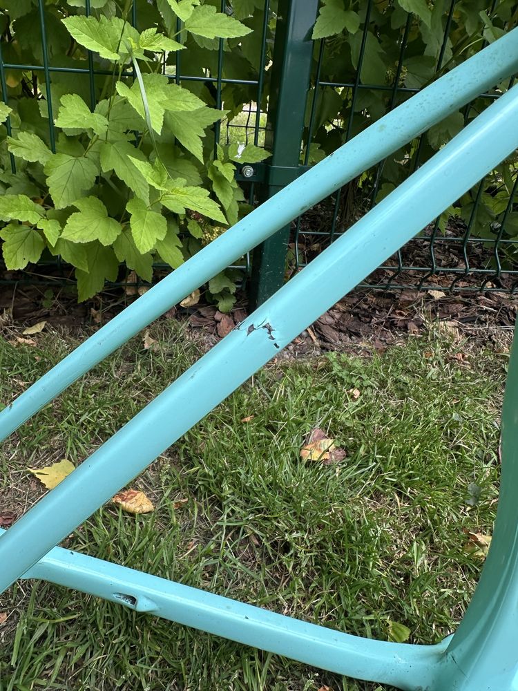 Bianchi orginał okazja frameset