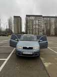 Skoda Fabia 2007 рік