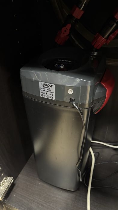 Aquario complet 200lt c/tampa Aquantlantis 100x40x50