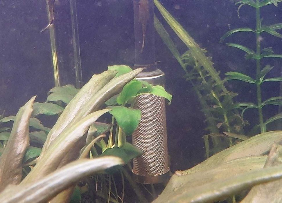 Rede de Pré-filtro em aço inoxidável