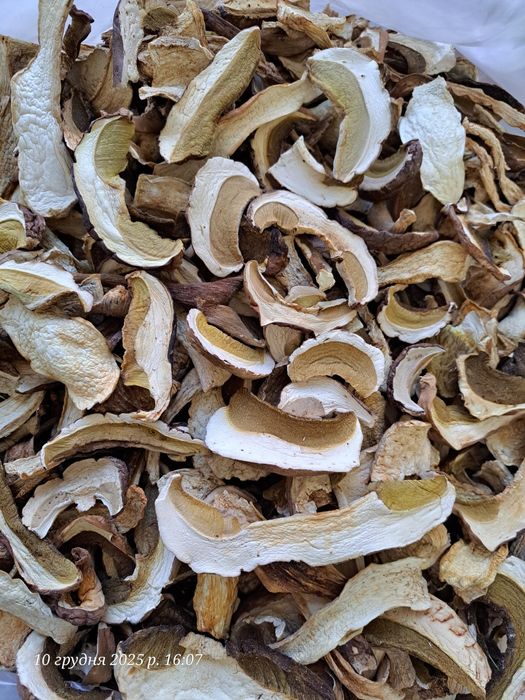 Білі гриби сушені з Карпат! 3л відерце