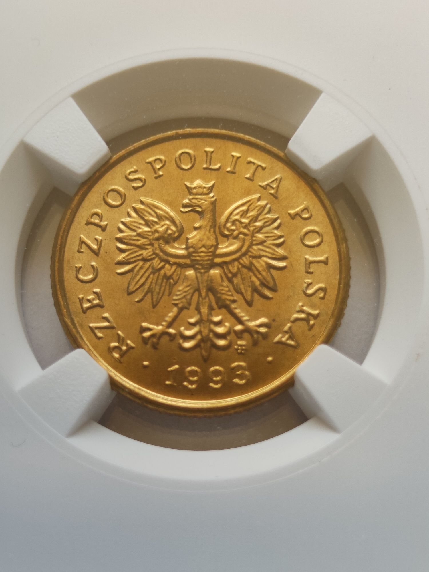 Moneta 5 groszy 1993 rok NGC MS66 rzadka