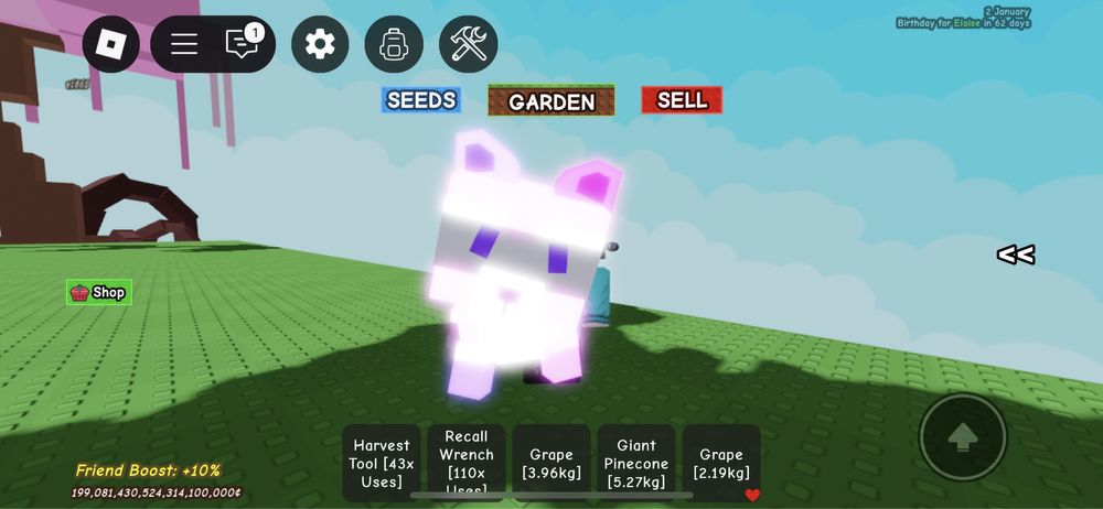 Єнот / Raccoon / Pets Grow a Garden Roblox