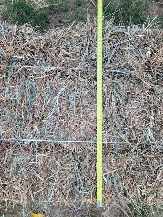 Сіно в тюках 2025 (солома, пшениця)