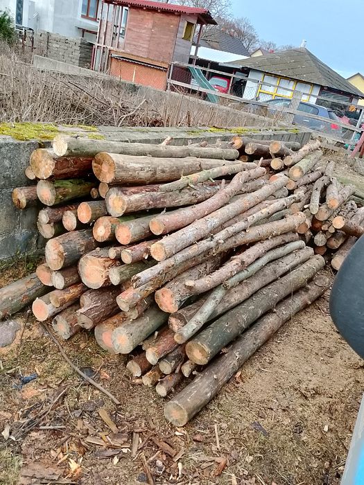 Sprzedam drzewo : wałki , pocięte lub połupane  6 6 7  O O 7 2 1 4