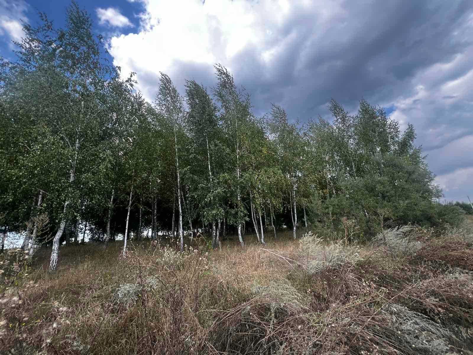 Продаж земельної ділянки комерційного призначення в Гавришівці