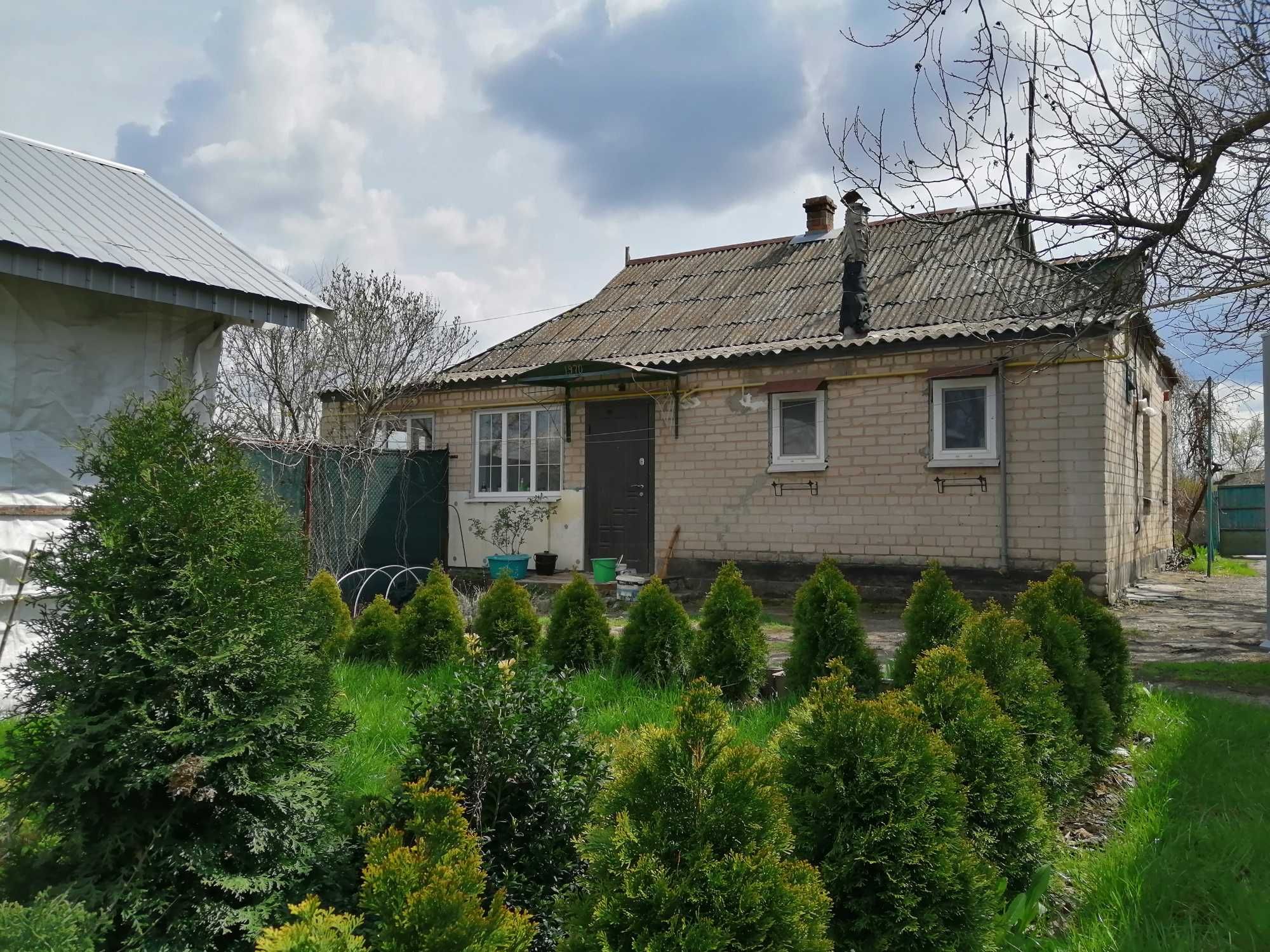 Дім на пагорбі з туями