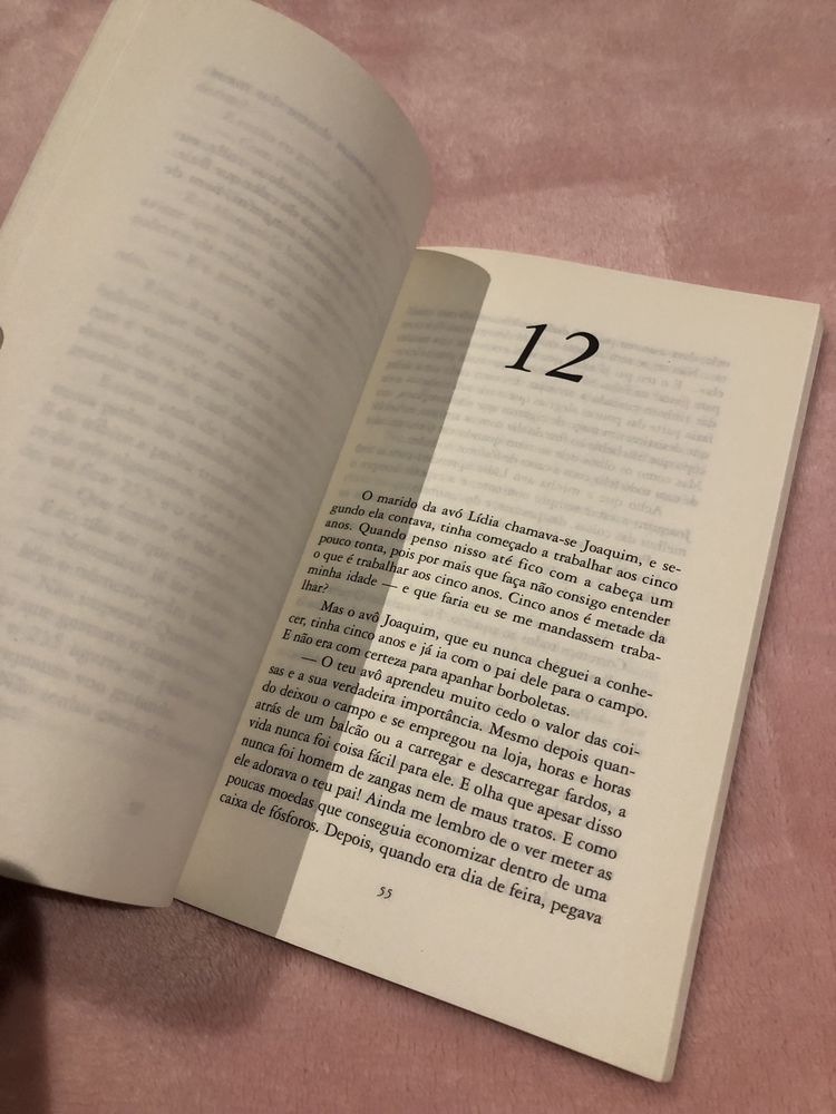 Livro “Rosa, minha irmã Rosa”