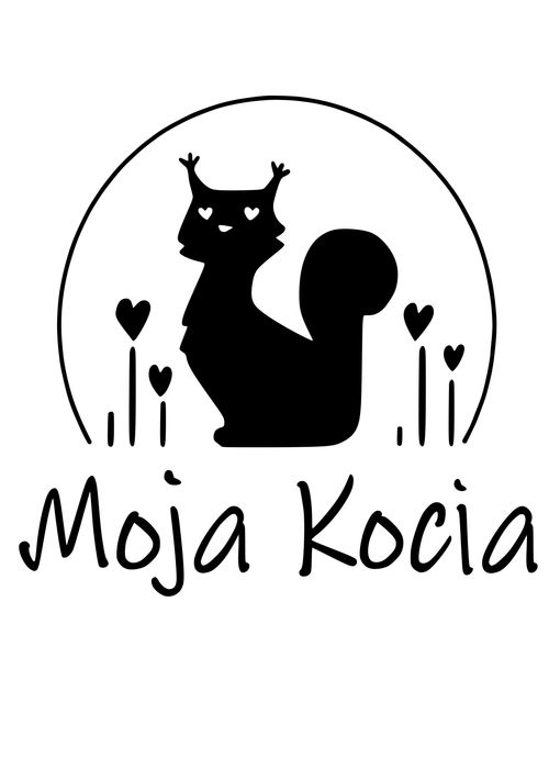 Kotka Maine Coon czarna szylkretka / FPL ZAREZERWOWANA