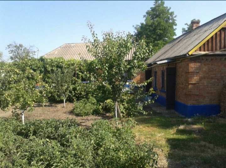 Продам будинок у селi Мала Василiвка