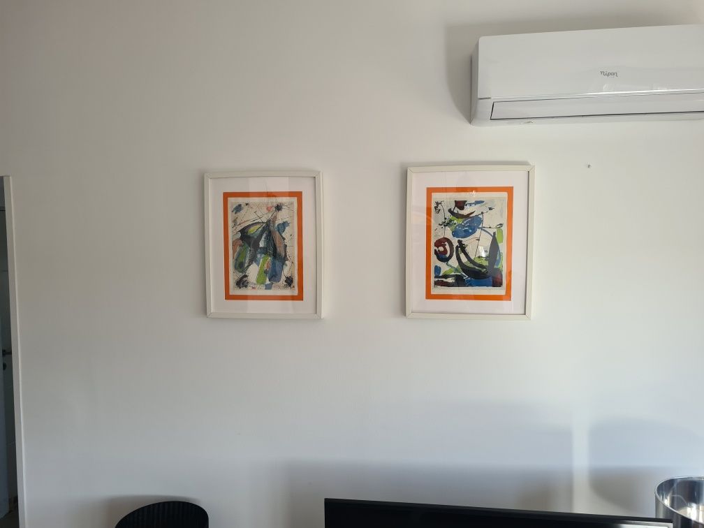 Conjunto de 2 Quadros
