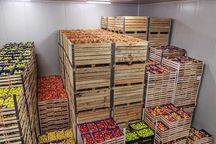 Производственное помещение -хранение продуктов и сортировка/800м.кв.