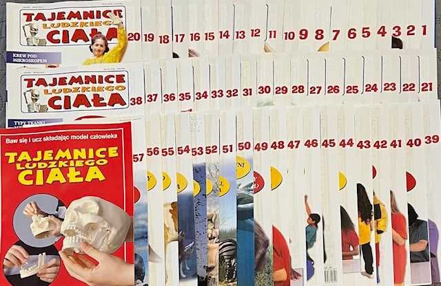 Tajemnice ludzkiego ciała , szkielet , model człowieka DeAgostini