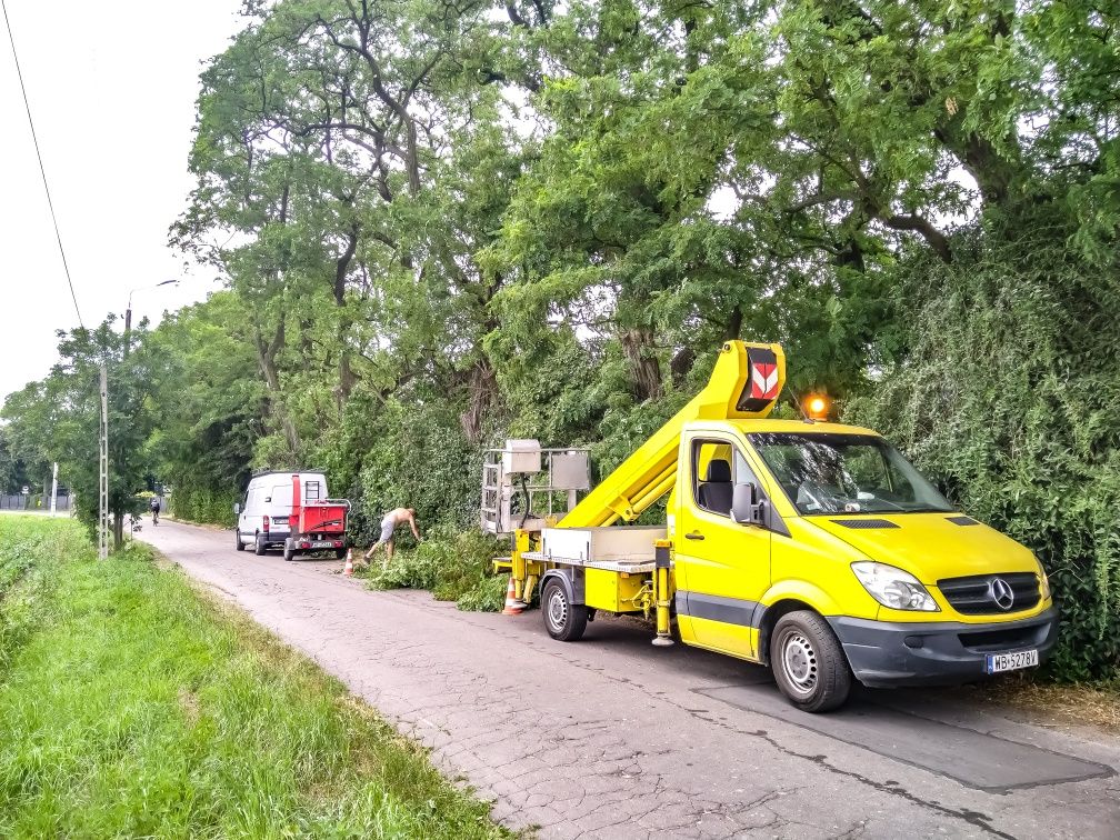 Podnośnik koszowy - wycinka drzew - frezowanie pni - rębak