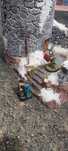 Makieta strażnicy - Warhammer Age of Sigmar Frostgrave