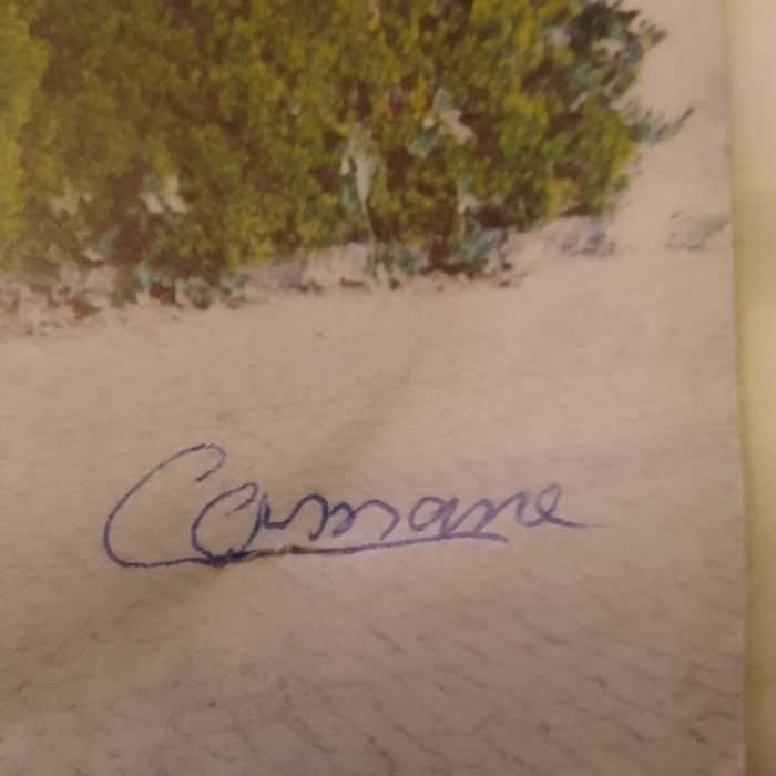 Camané - vinil single 7" autografado