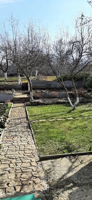 Побелка для деревьев 5кг на 10л